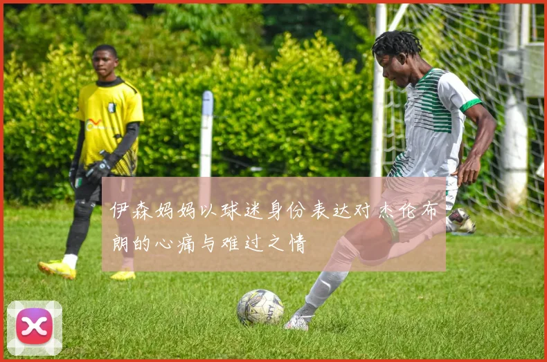 伊森妈妈以球迷身份表达对杰伦布朗的心痛与难过之情